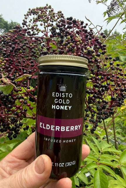 Honey of the Month – Elderberry Infused Honey