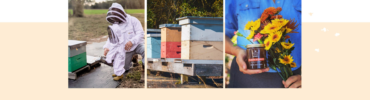 Learn More About Edisto Gold Honey, a family-owned and operated honey farm.